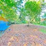 Zlota Wyspa Apartamento *