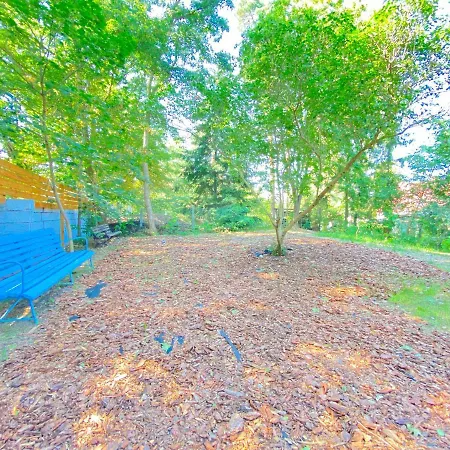 Zlota Wyspa Apartamento *